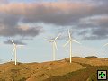 thn_NZ leden-unor 2006 065.jpg